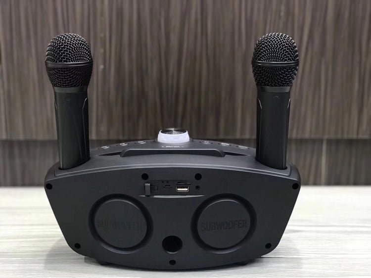 OWL SDRD SD-306 Portable Family Karaoke System Condenser Wireless Stereo Bluetooth Speaker Set With Dual Wireless Microphones - Image 3