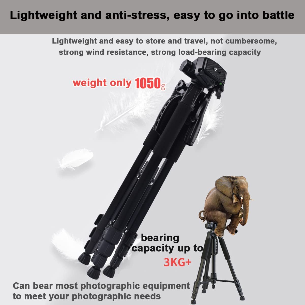 Universal 180cm Camera Tripod Stand 360° for DSLR Cameras & Phones with Universal Compatibility w Phone Mount - Image 6
